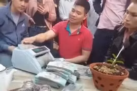 Xôn xao clip chuyển nhượng cây hoa lan đột biến 1,65 tỷ đồng ở Nghệ An