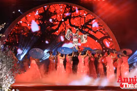 Khai mạc triển lãm hoa anh đào năm 2017