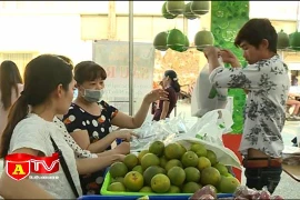 Khi nông nghiệp sạch là giải pháp cho an sinh xã hội