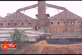 Không gia hạn hoạt động đối với các lò gạch đơn lẻ