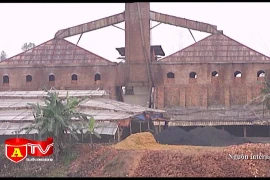 Không gia hạn hoạt động đối với các lò gạch đơn lẻ