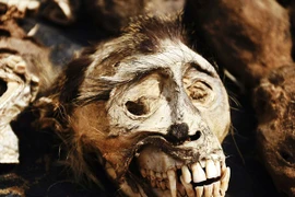 Chùm ảnh rùng rợn ở chợ bán “thần dược tình yêu” lớn nhất thế giới