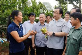 Huyện Hoài Đức phấn đấu lên quận vào năm 2020