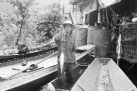 Báu vật sông Đà