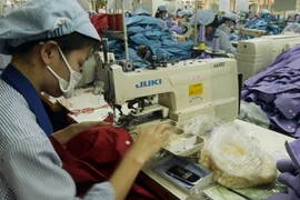 Nhân ngày doanh nhân Việt Nam 13-10: Nỗ lực vượt khó 