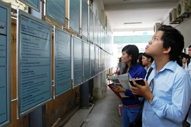 Chới với cơ hội việc làm 