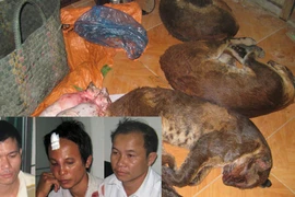 Màn “trận giả” bất thành 