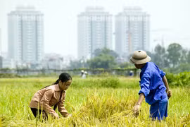 Thanh tra Chính phủ: Sai đâu phải sửa đó!