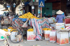 Bất lực với chất lượng rau quả nhập khẩu