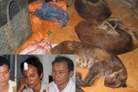 Màn “trận giả” bất thành 