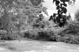 Cảm giác mạnh trên cầu treo Serepok 