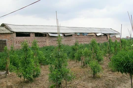 Đất công như không có chủ