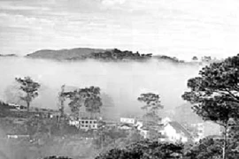 Đà Lạt - Thiên đường tình yêu đôi lứa