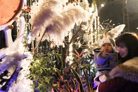 Vui đón Giáng sinh an lành