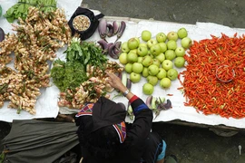 Họp chợ giữa mây trời 