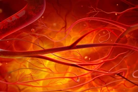 Đột phá trong y học: In 3D