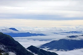 Y Tý mùa “săn” mây 