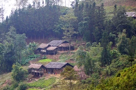 Sơn Vĩ - bức tranh tuyệt mỹ