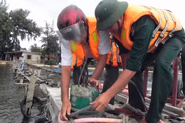 Chưa xác định được bão số 8 đổ bộ vào đâu 