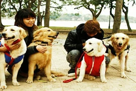 “Đeo số” cho chó, mèo