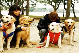 “Đeo số” cho chó, mèo