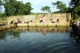 Thực hư giếng thần xứ Mường và khúc gỗ “trấn” long mạch