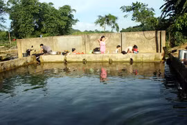 Thực hư giếng thần xứ Mường và khúc gỗ “trấn” long mạch