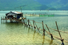 Chiều trên phá Tam Giang 