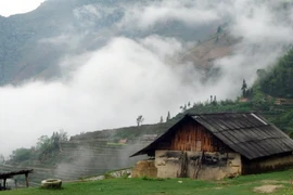 Chinh phục đỉnh Tây Côn Lĩnh 