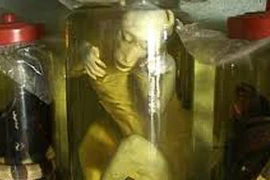 322 triệu đàn ông yếu sinh lý và những món ăn… kinh sợ 