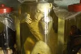 322 triệu đàn ông yếu sinh lý và những món ăn… kinh sợ 