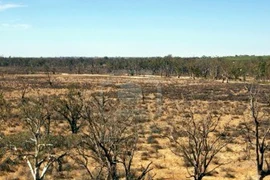 Cơn “sóng thần lặng lẽ” 