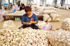 Hàng hóa Trung Quốc nhập vào châu Âu: “Của rẻ là của ôi” 