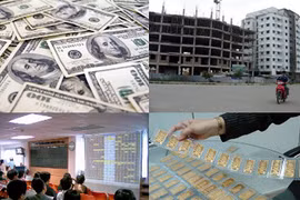 “Không bỏ trứng vào một giỏ”