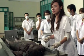 Đợi “Mùa hè lạnh” 