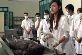 Đợi “Mùa hè lạnh” 