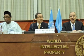 Công cụ cho phát triển 