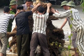 Thầm lặng những người “thầy” 