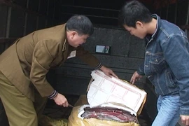 Chặn nguồn nội tạng “bẩn” vào thành phố 