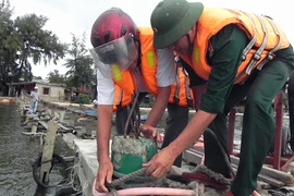 Chưa xác định được bão số 8 đổ bộ vào đâu 