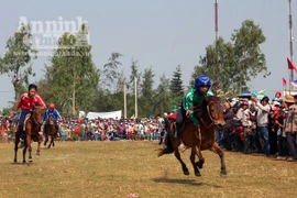 Rộn ràng Hội đua ngựa Gò Thì Thùng