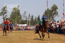 Rộn ràng Hội đua ngựa Gò Thì Thùng