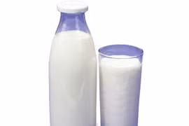 Sữa thô tiềm ẩn nhiều vi khuẩn gây hại