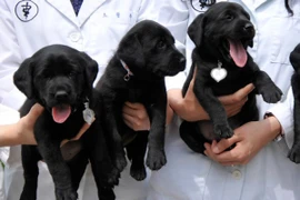 Trung Quốc đã sẵn sàng "sản xuất"… con người