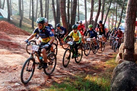 Tổ chức một loạt cuộc đua xe đạp địa hình năm 2017