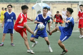 Lịch thi đấu loại trực tiếp giải bóng đá học sinh THPT Hà Nội