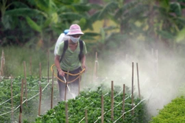 Việt Nam chi nửa tỷ USD mỗi năm nhập khẩu thuốc BVTV: Do không đủ trình độ sản xuất