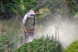 Việt Nam chi nửa tỷ USD mỗi năm nhập khẩu thuốc BVTV: Do không đủ trình độ sản xuất