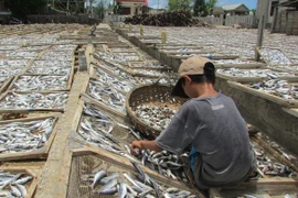 Tranh cãi về chất phenol "cực độc" trên cá nục