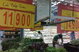 Rau cải Trung Quốc nhiễm thuốc trừ sâu vượt 8 lần cho phép